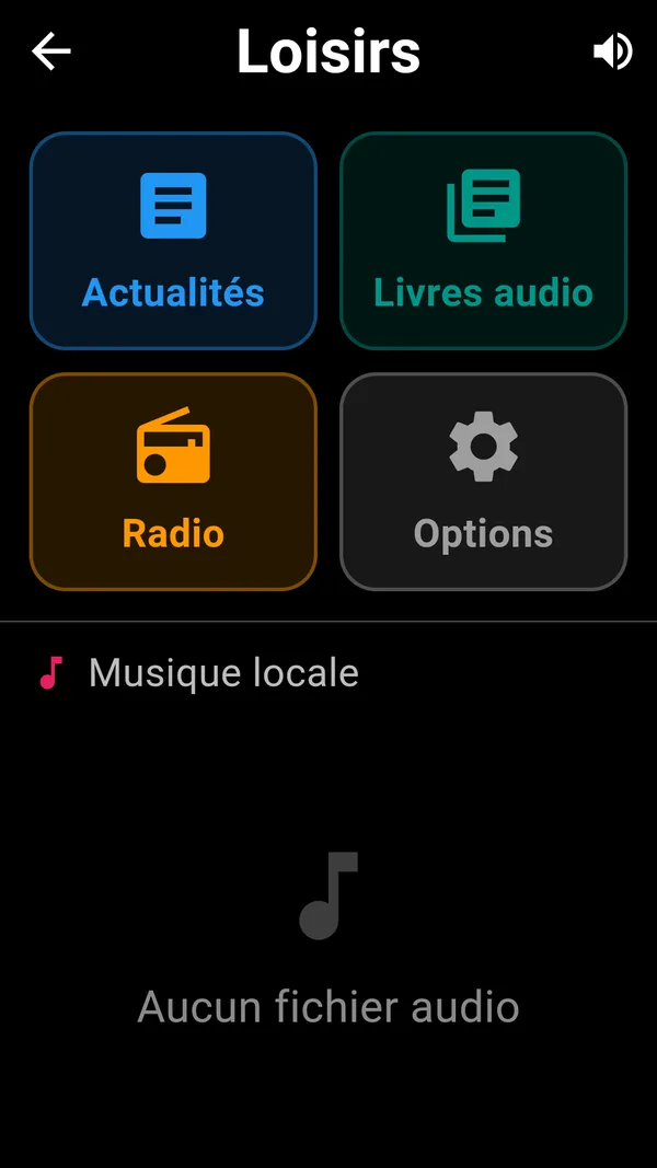 Leisure screen: News, Audiobooks, Radio and Options